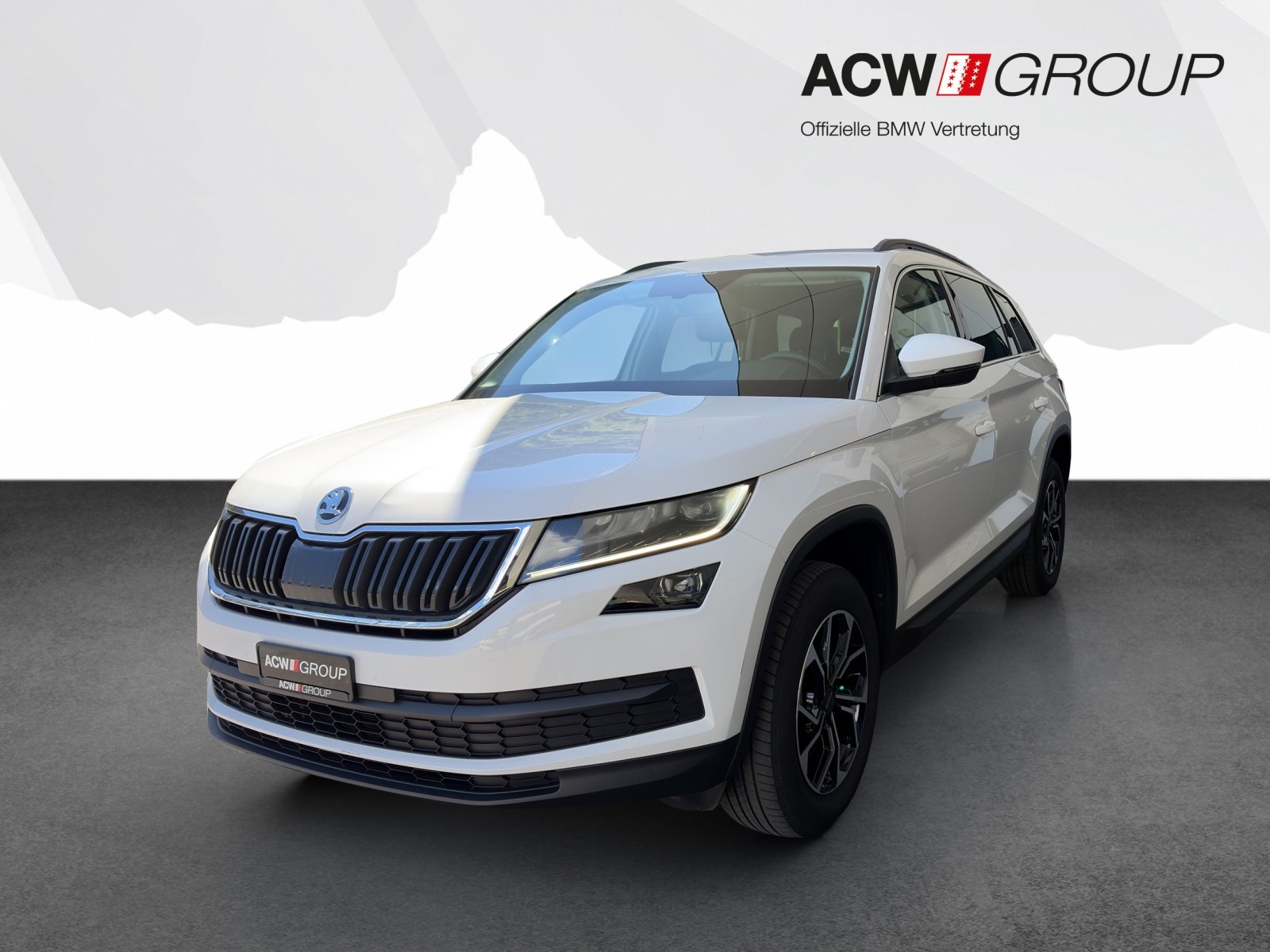Brugt Škoda Kodiaq 