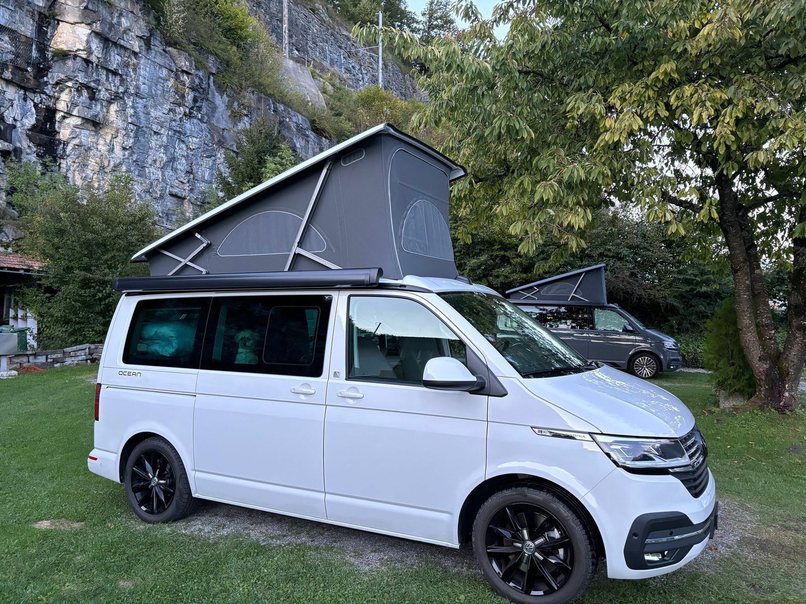 Brukt Volkswagen California 2.5 TDI