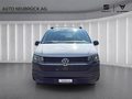 VW T6 KASTENWAGEN