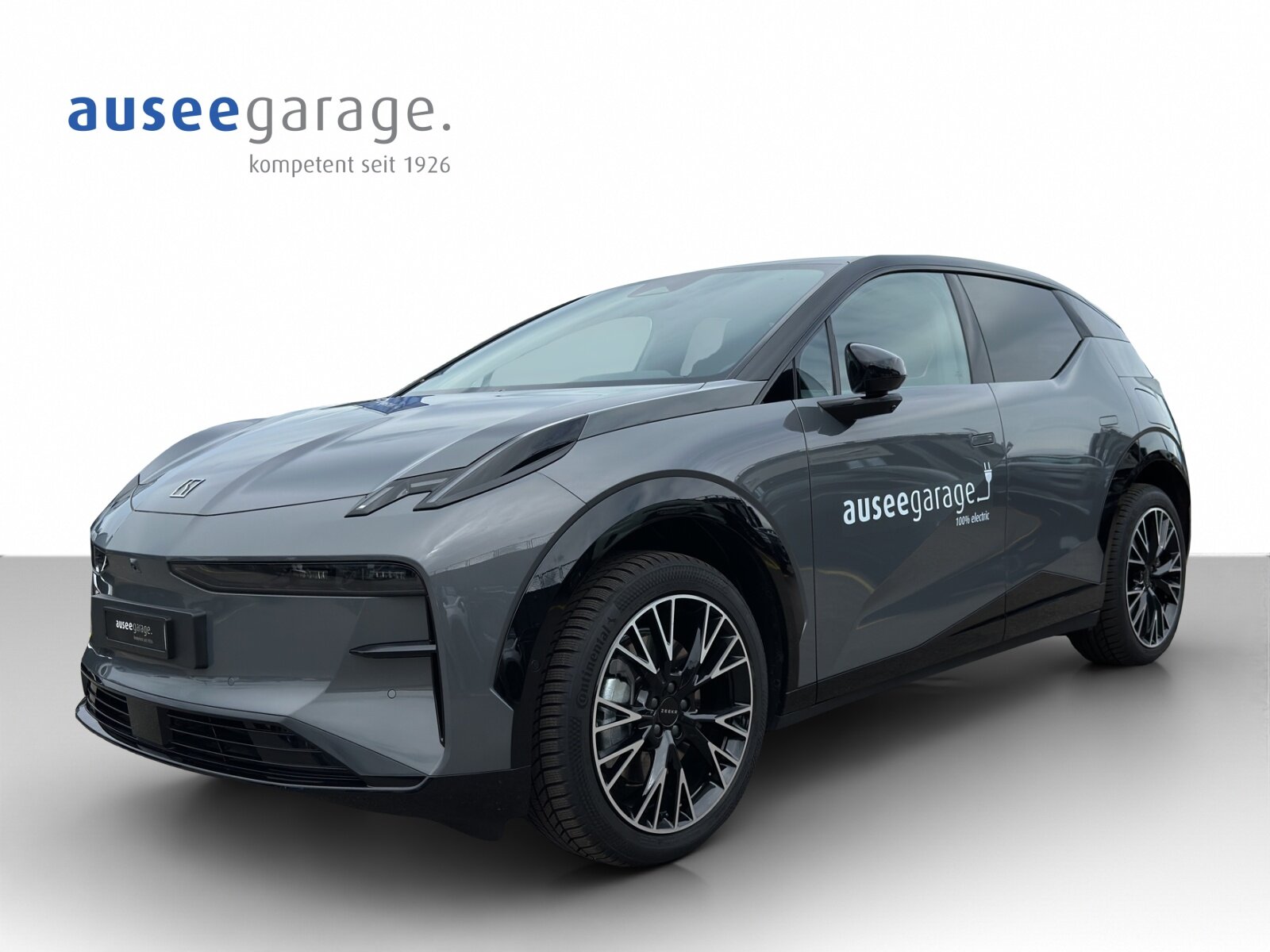ZEEKR X Privilege AWD